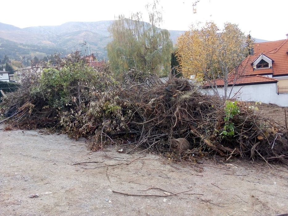 Почистване на терени от дървета и храсти
