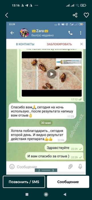 Таракан дoри (Американский шприст) Advion Cockroach