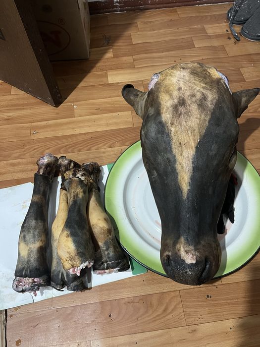 Продам говяжью голову и ноги