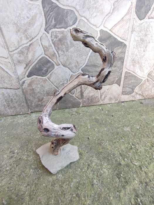 Decorațiuni acvariu - terariu