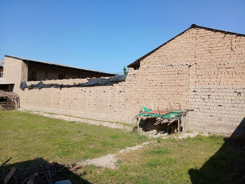 Nayman Jayhun baliqni orqasida 6 sotixli hovli sotiladi