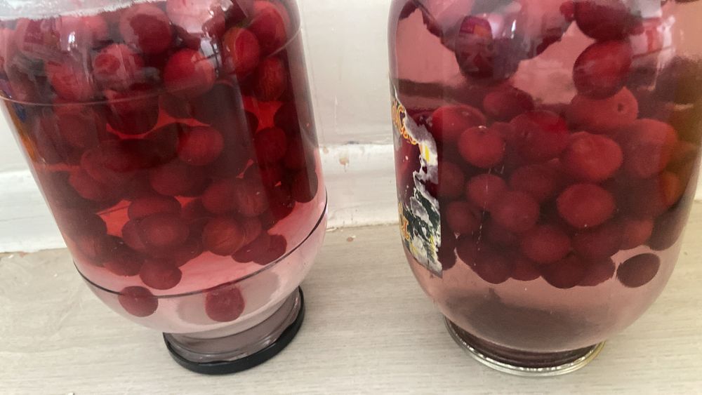 Продам огурцы маринованные