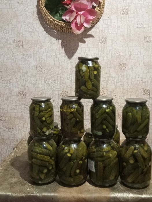 Продам домашние разносолы, огурцы солёные,