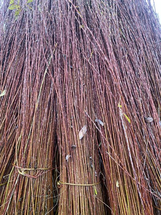 Vand rachita pentru cosuri