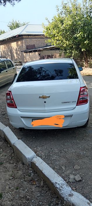 2023/2024  COBALT LTZ