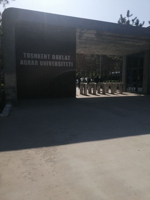 Бухгалтерия хизмати