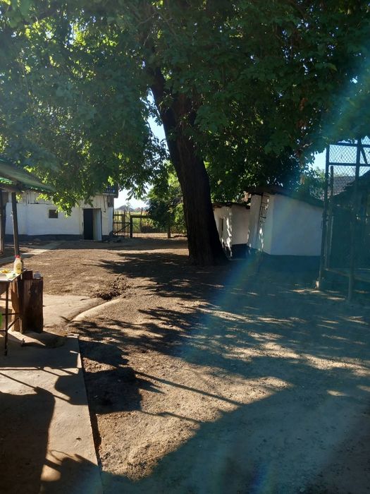Casa cu anexe si teren de vanzare - sat Vasad