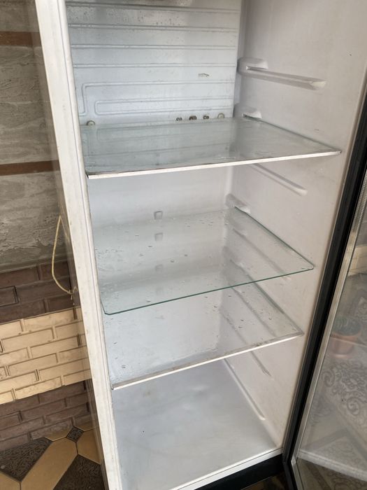 ветринный холодильник