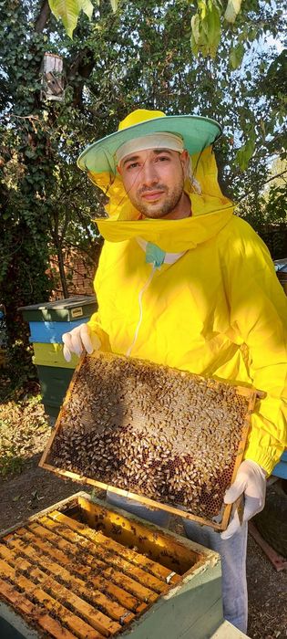 НАТУРАЛЕН Пчелен мед