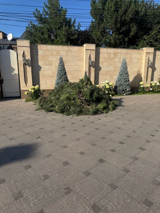 Мебель. Мусора. Строительные .