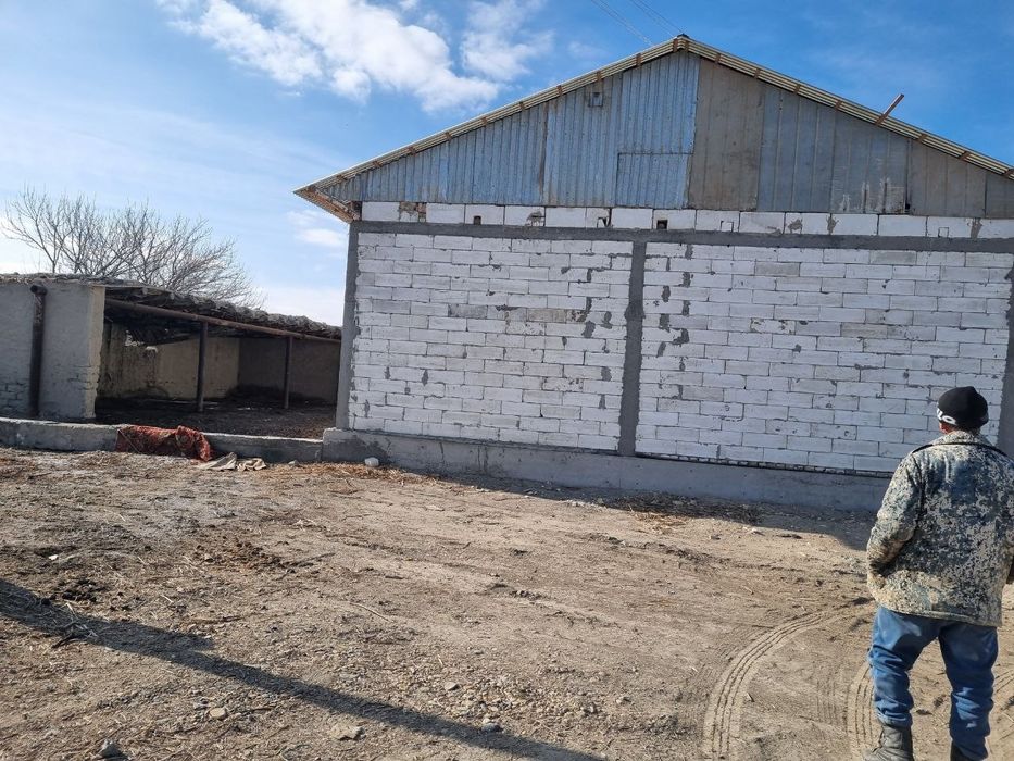 Пена блокни зури бизда