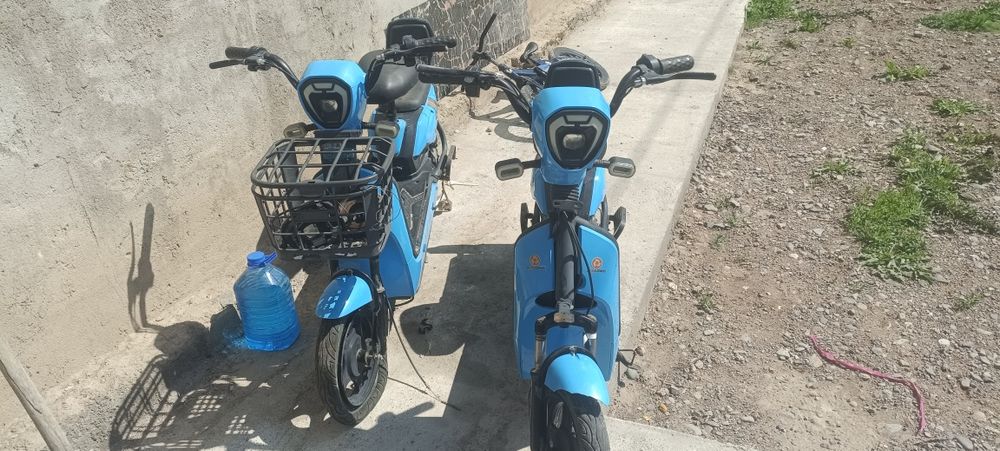 Електра обмен на велик