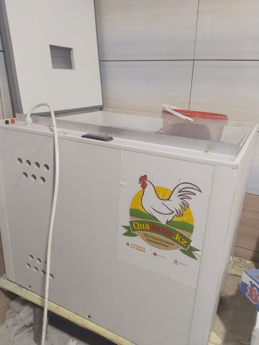 Инкубатор для яйиц