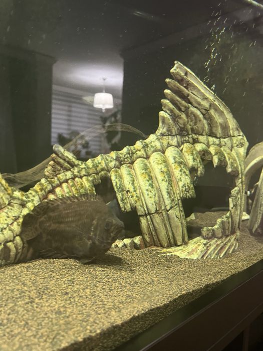 Продам аквариум 330 литров