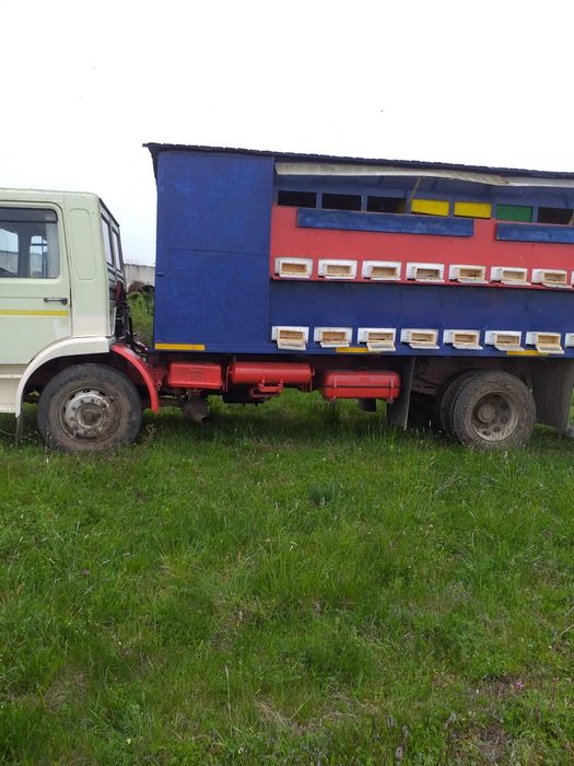 Vând camion apicol omologat