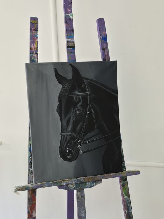 Картина,черный конь