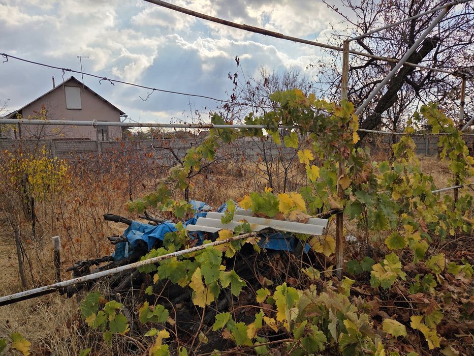 Дача БУШ ЧКАЛОВЧИ  5 сотих сотилади.  Rano Eko village ёнида. Срочно