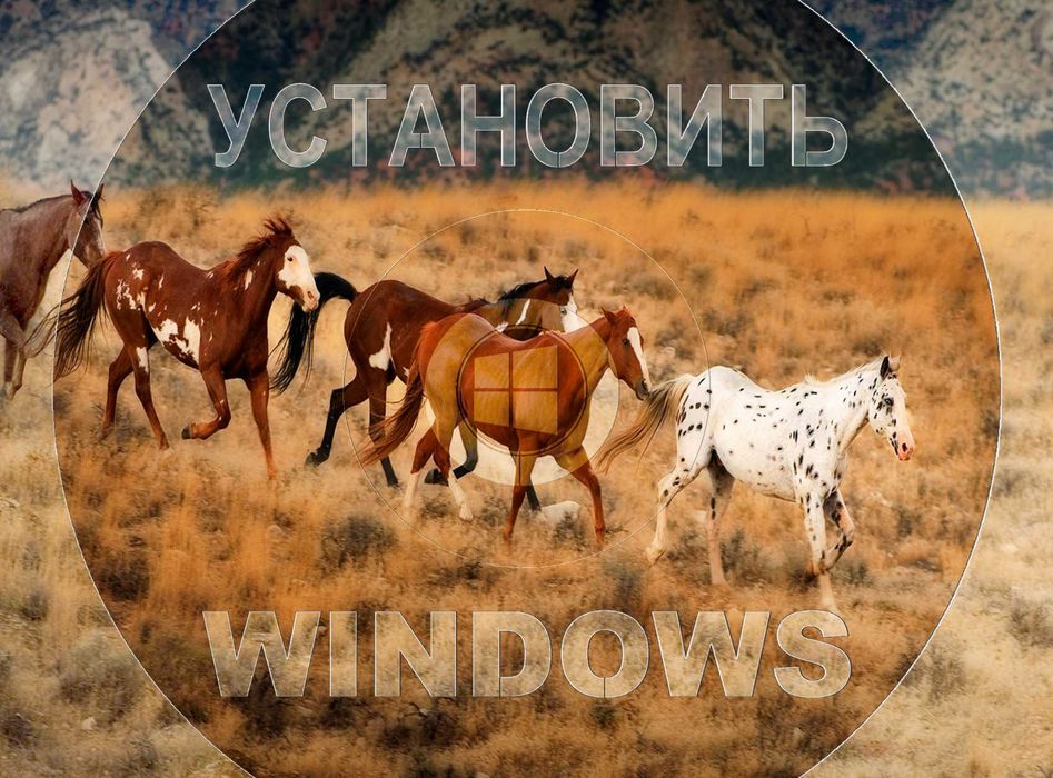 Windows 11 | 10 оригинал и программами office для Виндоус