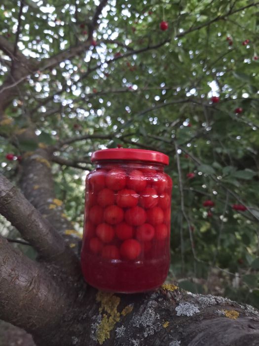 Dulceață/Sirop/Compot