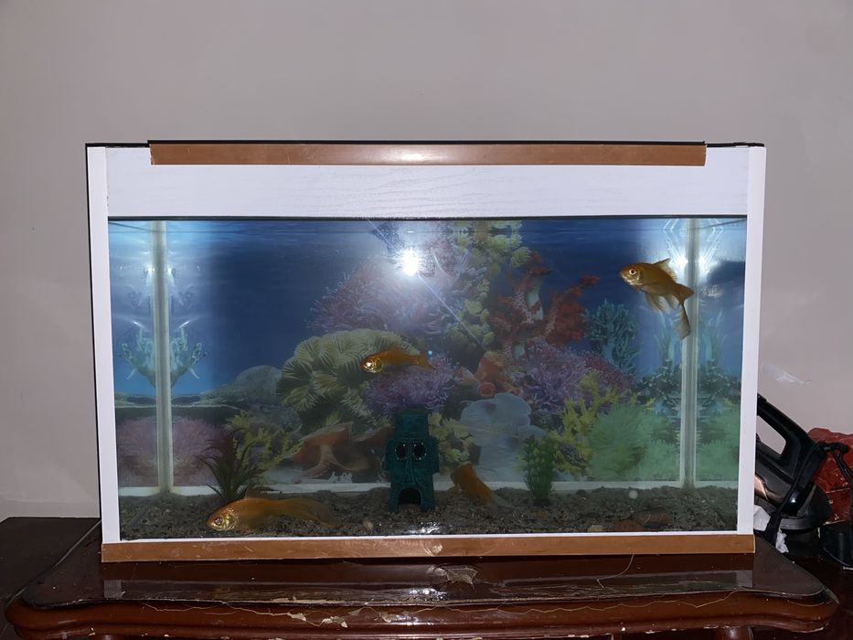 Аквариум с рыбками срочноо