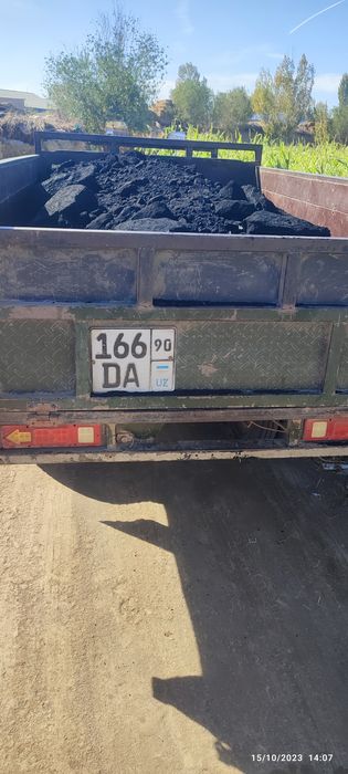 Xolati yaxshi mustang
