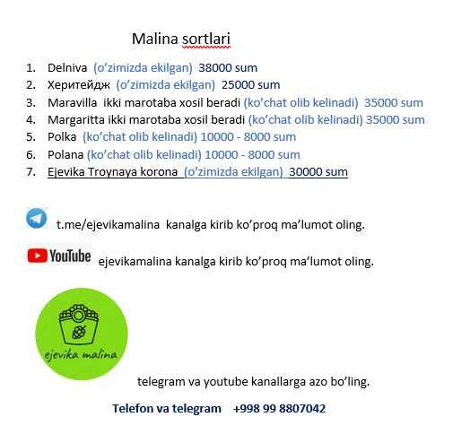 Малина Делнива Полша ремонтант нави.Делнива польский ремонтантный сорт