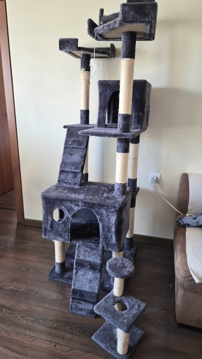 Котешка катерушка