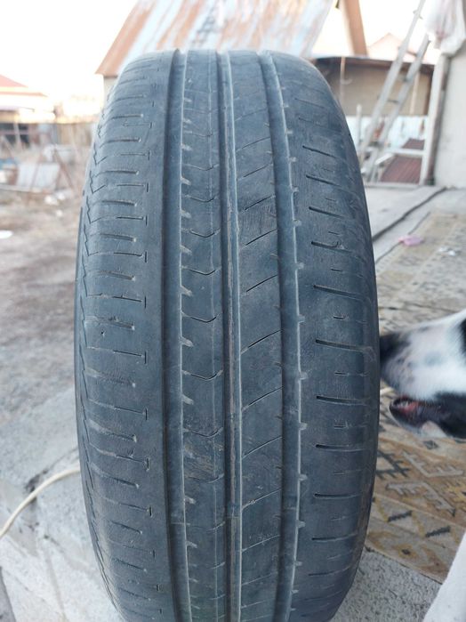 Продам шины. Летл