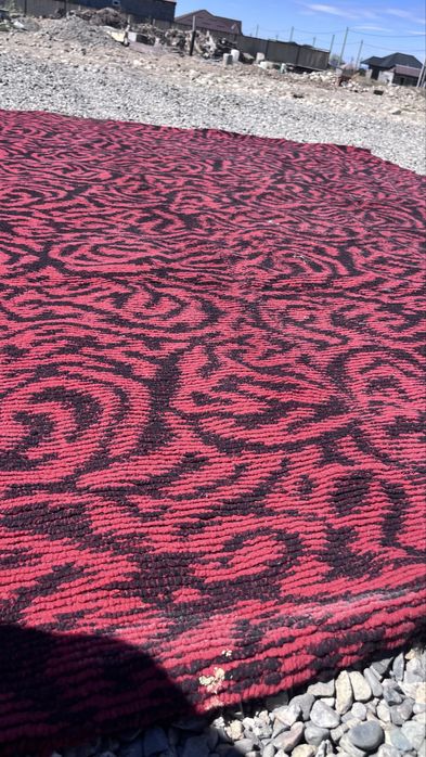 Ковры, паласы, отдам