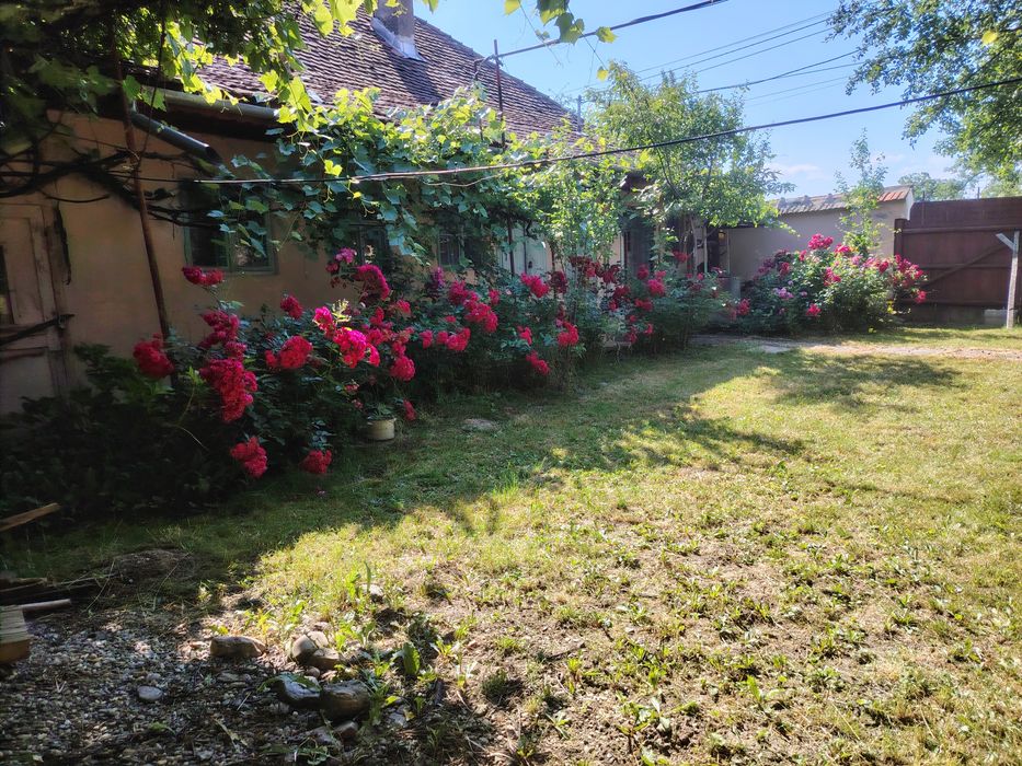 Vând casă la poalele munților Făgăraș cu teren de 635 mp în satul Copăcel, judetul Brașov