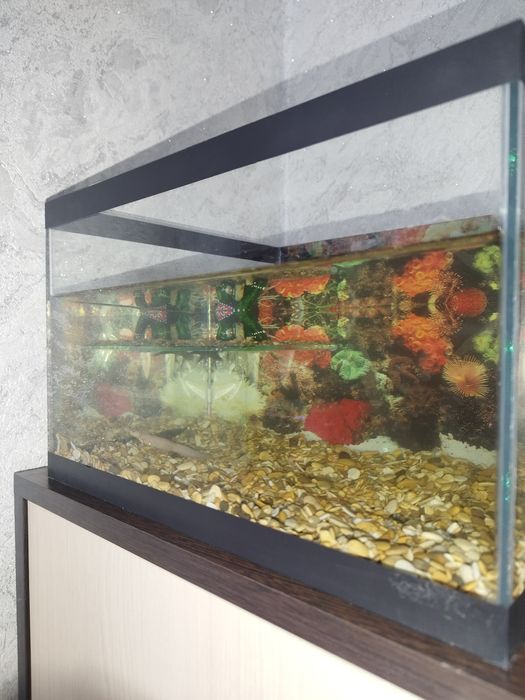 Аквариум продам .