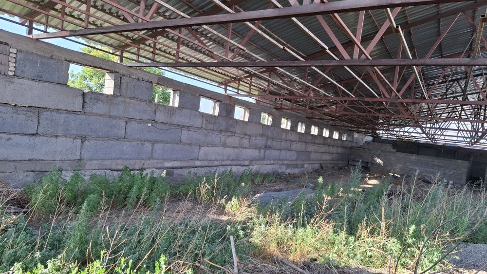 Помещение под любой вид деятельности