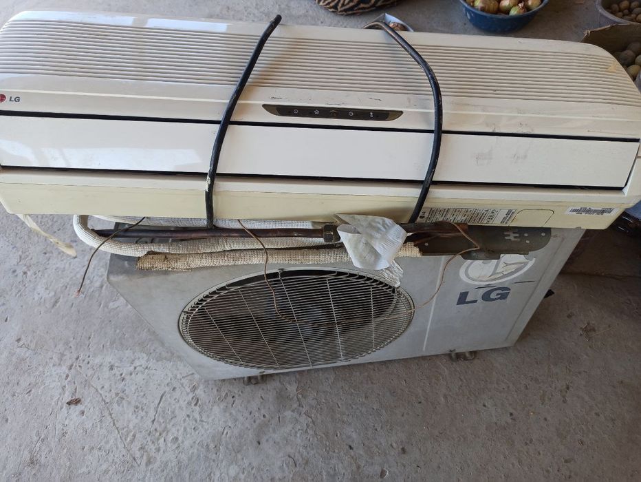 Lg kanditsaner zudlik bilan sotiladi