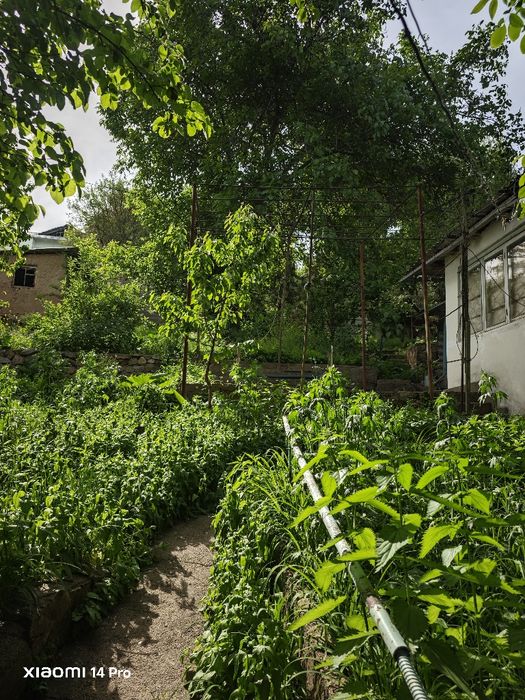 Участок 10 соток Чарвак Бочка