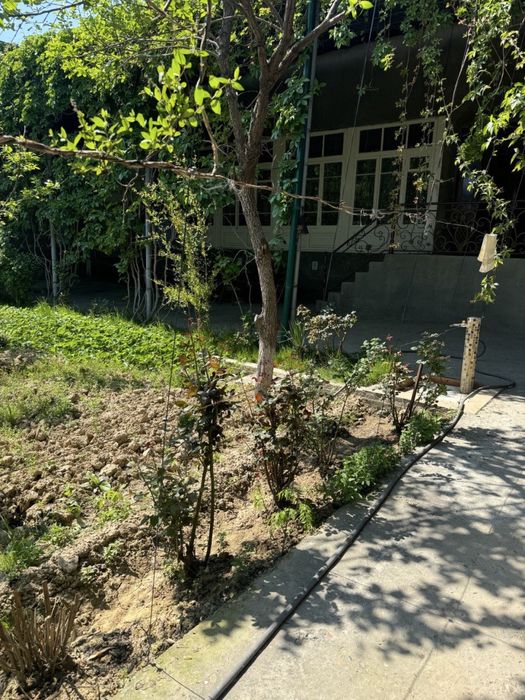 Назарбек участок 10 комнат Срочно!!!