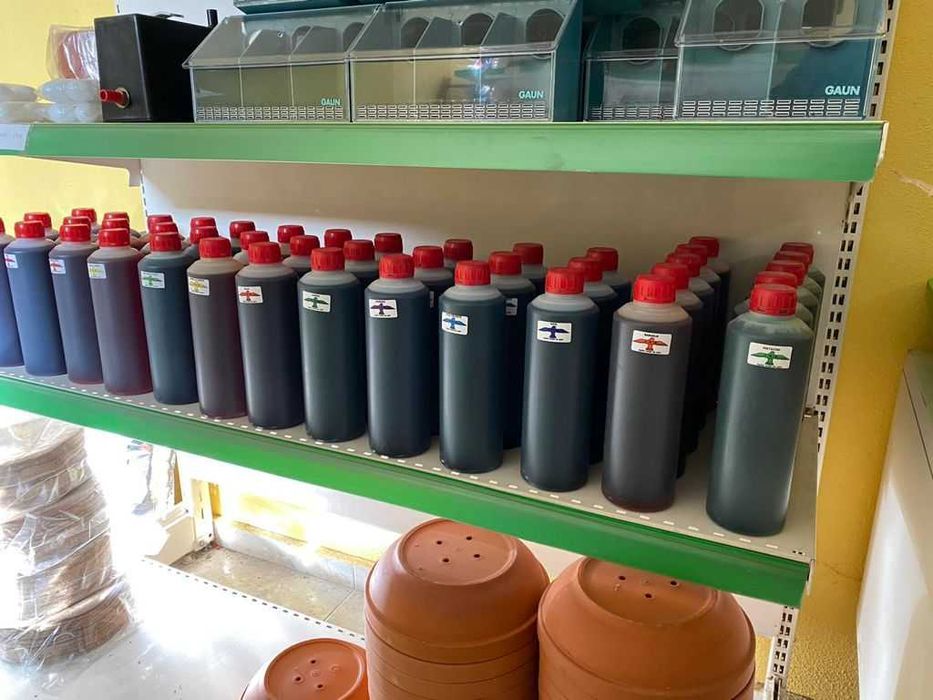 Боя за Гълъби боядисване на гълъби за състезание