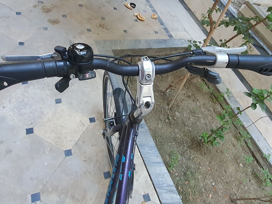 Velosiped Sotiladi Germansky