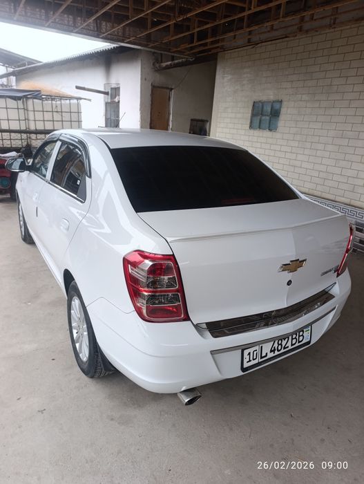 Кобиль 2019 тозза