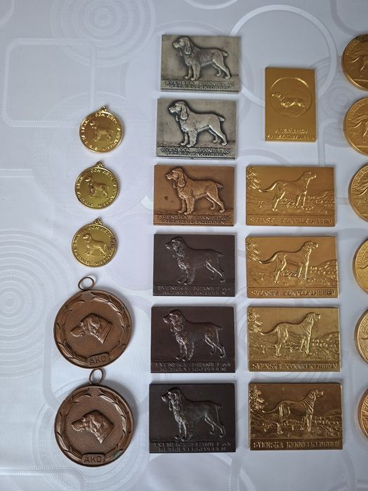 Спортни Медали с Кучета