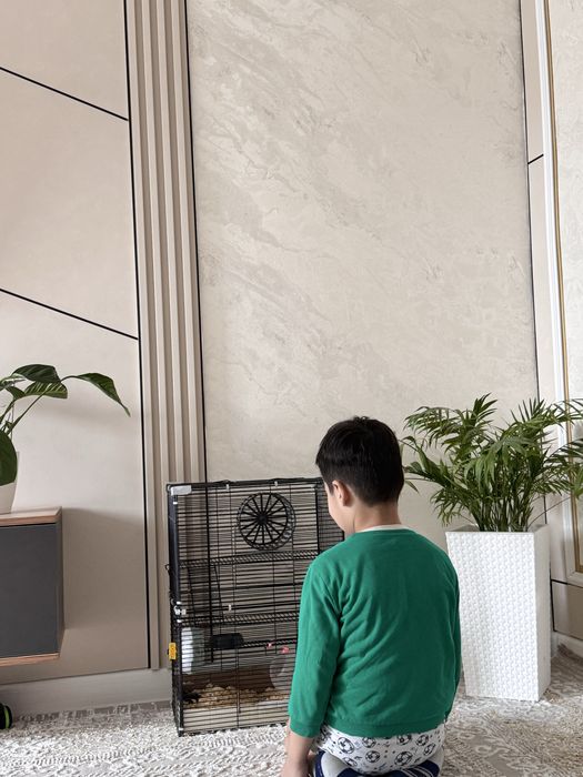 Хомяки,  клетка для хомяков