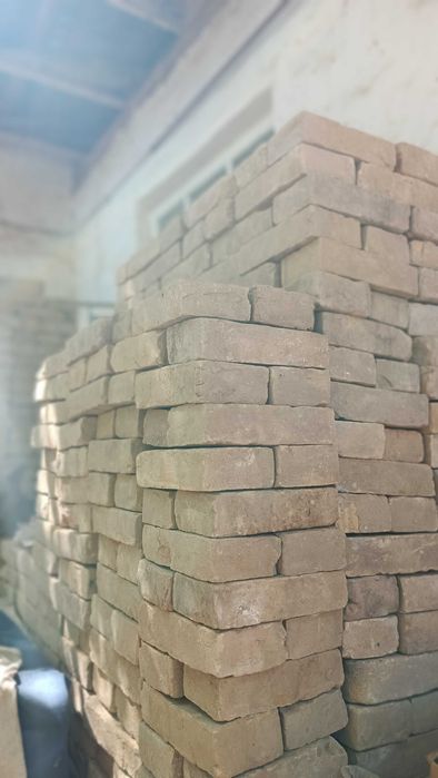 Жігіт қыздың аяқ-қолын байлап, қатты сипады