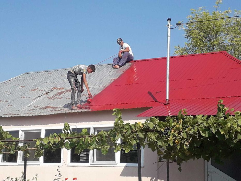 Vopsim orice tip de tabla pe casa, garduri, porti si alte suprafete
