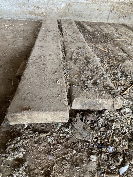 Ағаш, дерево, дранка