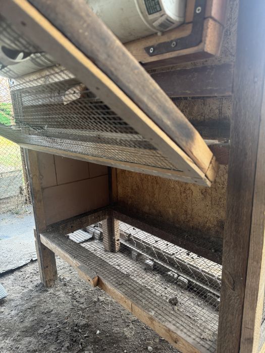 Брудер для цыплят