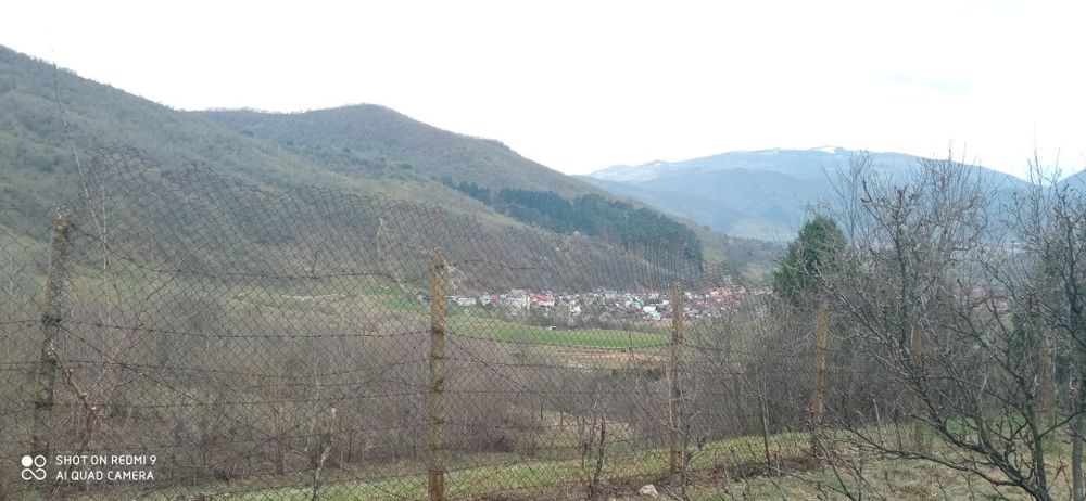 Livada 3000mp Turnu Rosu