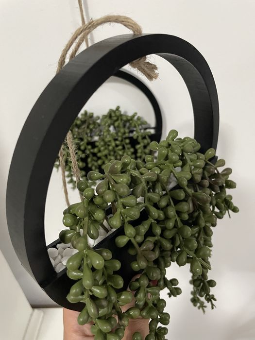 Decor plante suspendat