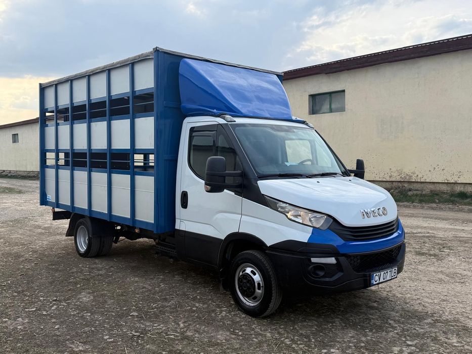Iveco Daily Transport animale vii