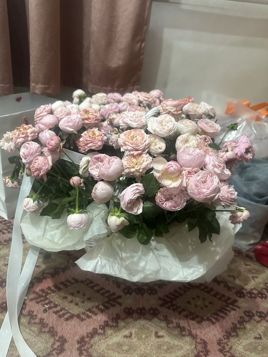 продам цветы свежие