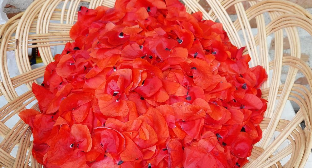 Dulceata de flori de mac