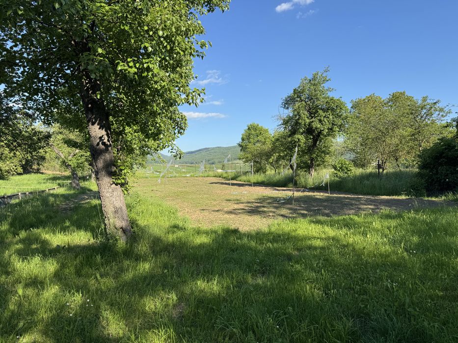 Teren intravilan 3000 mp – CENTRU Budila